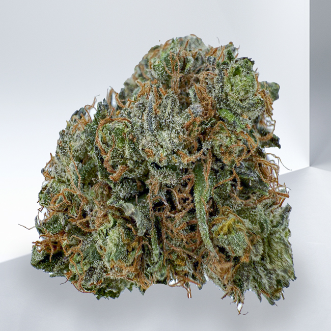 302-TOM-FORD-OG.jpg