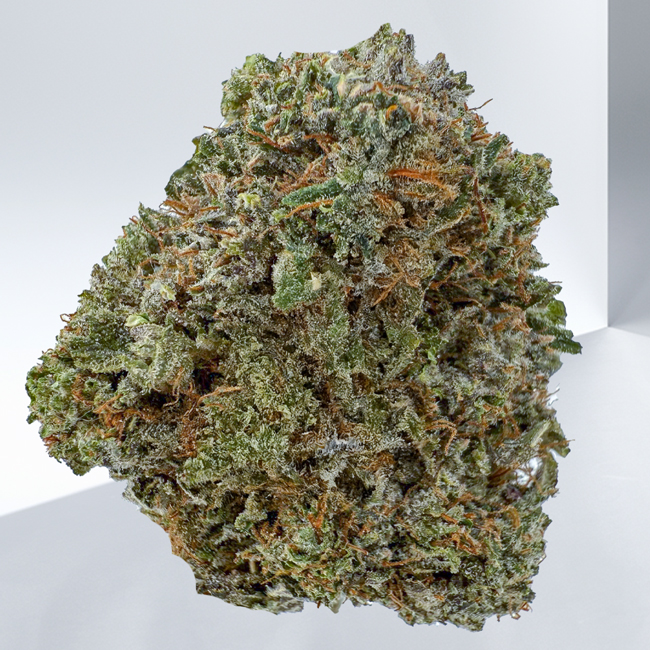 445-GREASY-PINK.jpg
