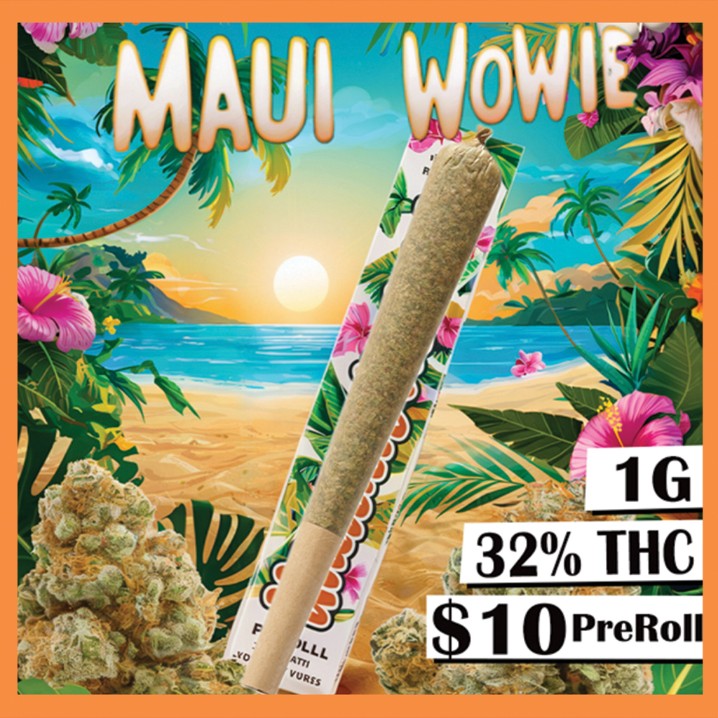 489-MauiWowie.jpg